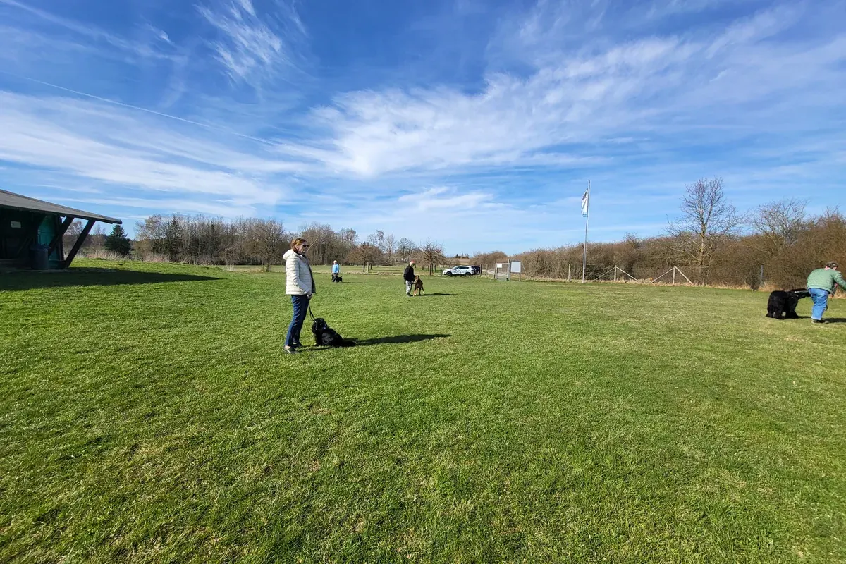 Eindrücke vom Hundeplatz des Hundeverein Dogfriends Hof