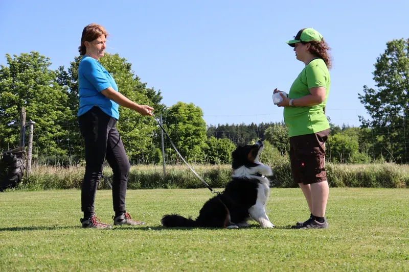 Sabine Möller – Sabines mobile Hundeschule: Hundetrainerin beim Training mit Halterin und aufmerksam sitzendem Hund auf dem Hundeplatz in Hof-Wölbattendorf